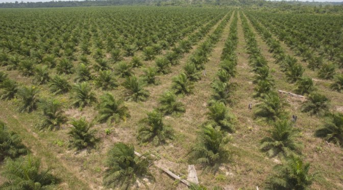 Curso de fotografia aplicada à agricultura