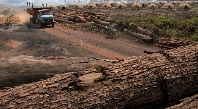 Desmatamento na Amazônia volta a crescer em janeiro