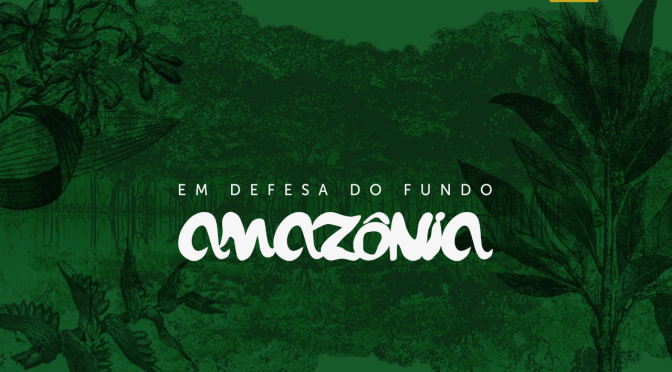 O Fundo vai pro brejo na Amazônia.